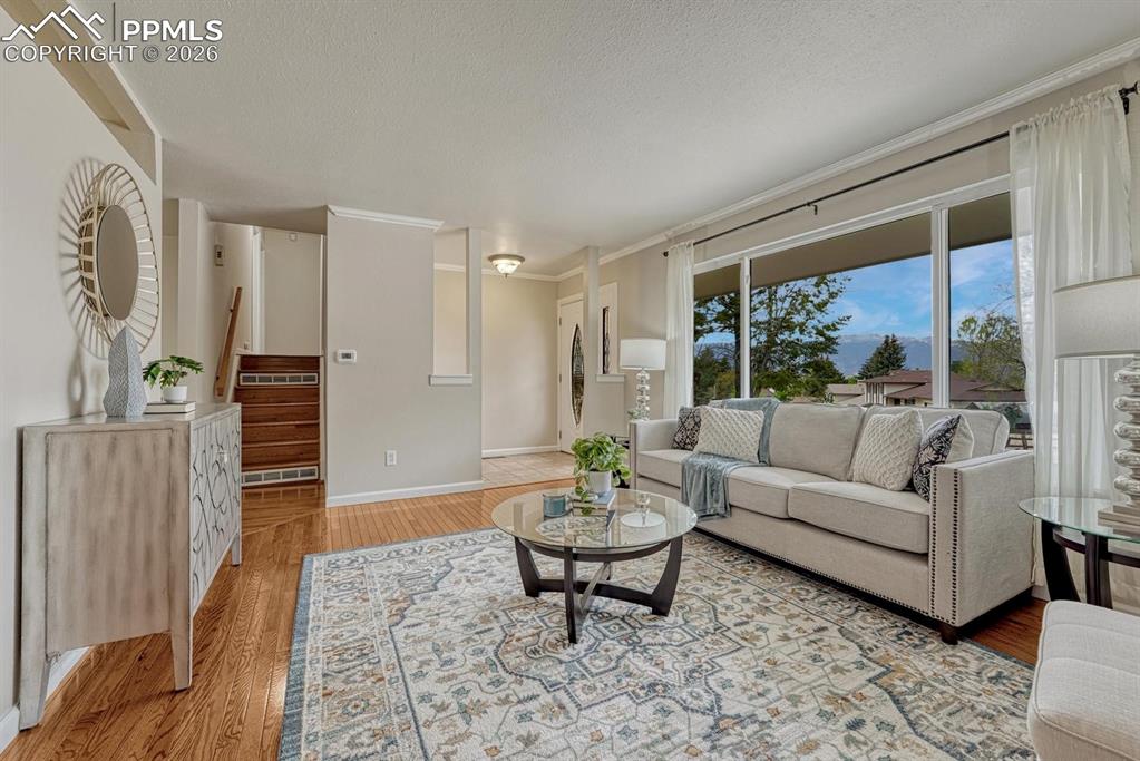 Image 4 of 42: Relax in this welcoming main-level living room, complete with crown molding