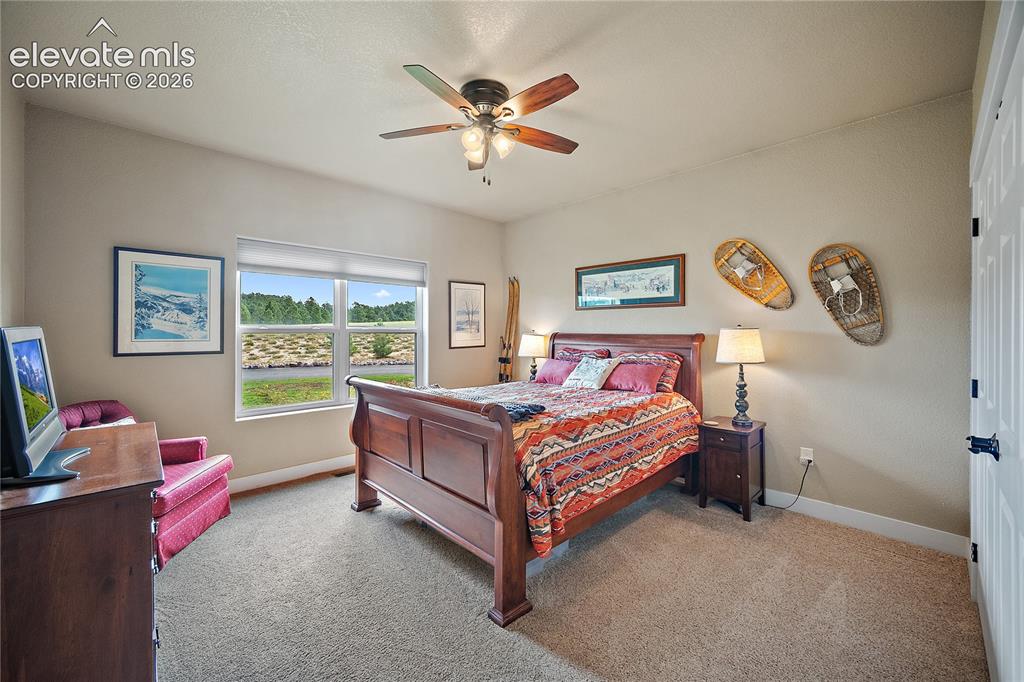 Image 25 of 42: Second guest bedroom with carpet.