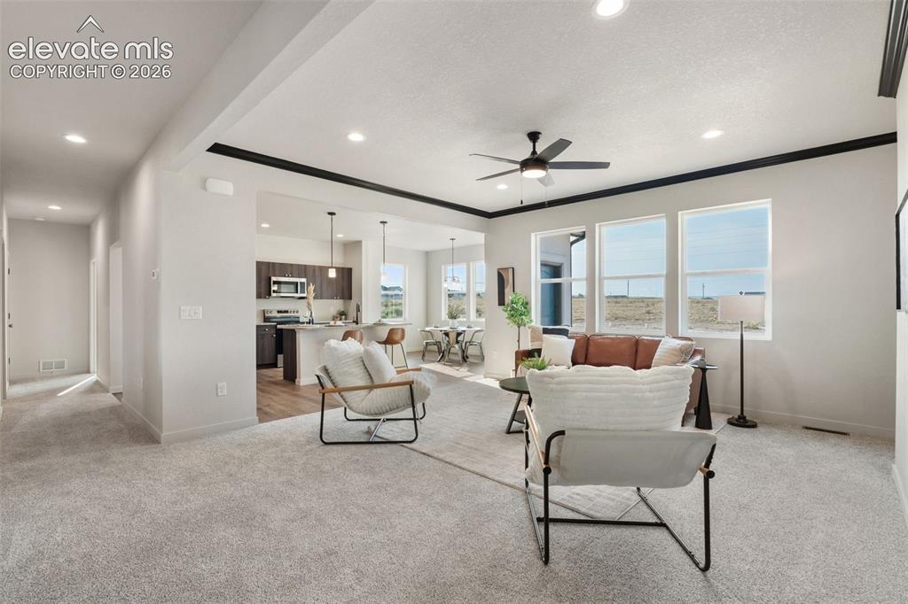Image 10 of 41: Living Room