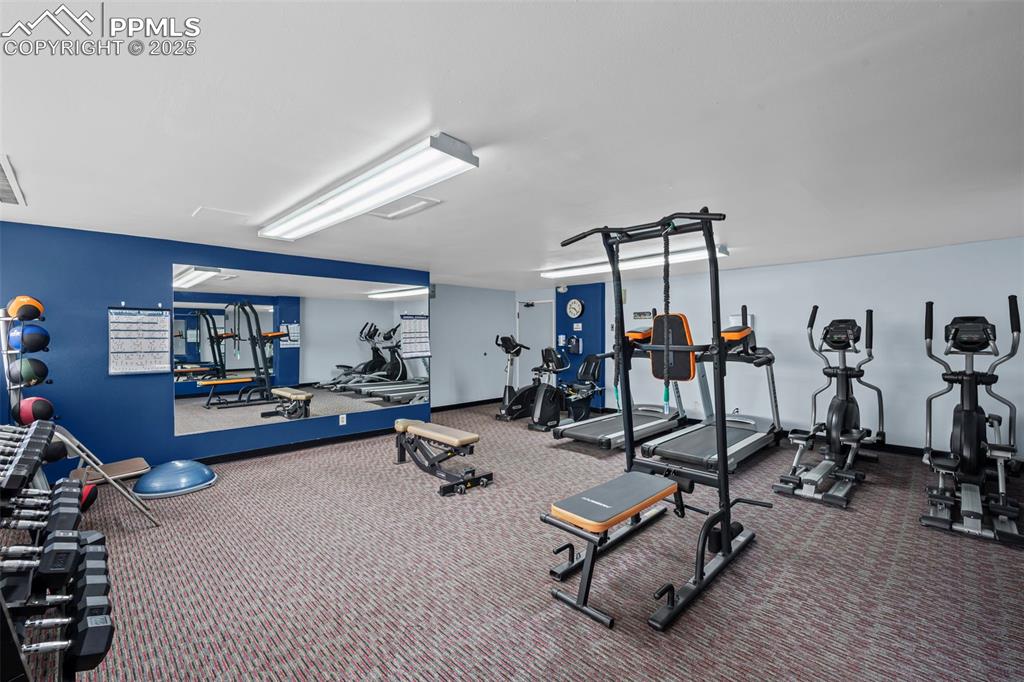 Image 17 of 20: Gym