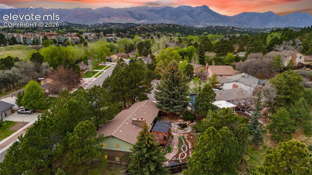 Image 2 of 43: The spacious backyard oasis features a koi pond with fountain, hundreds of 