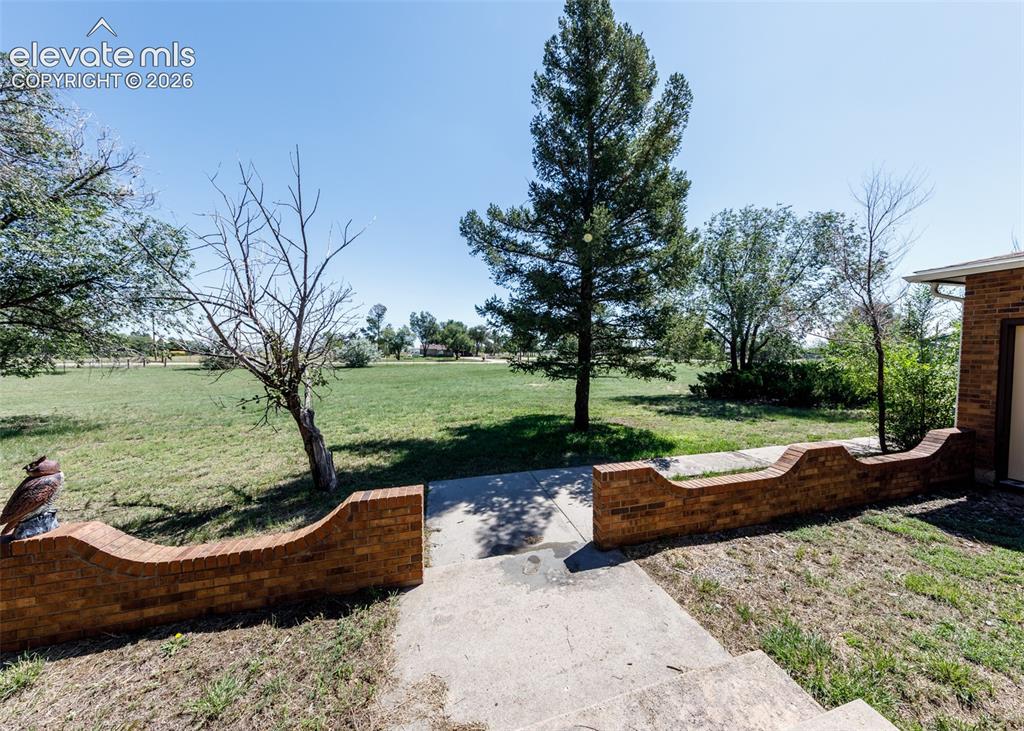 Image 6 of 49: Front Yard