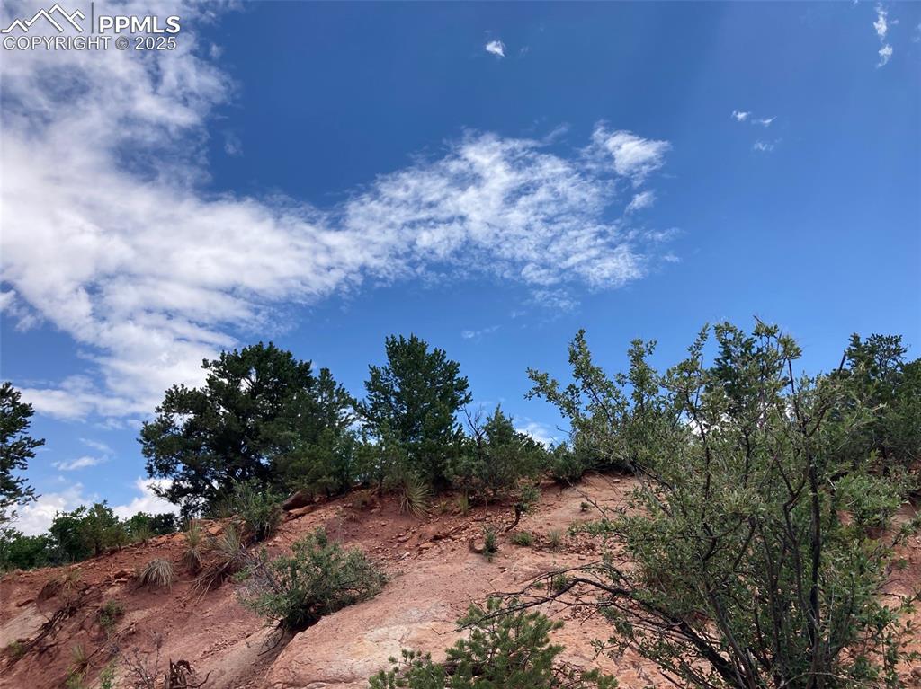Image 10 of 12: View of undeveloped land