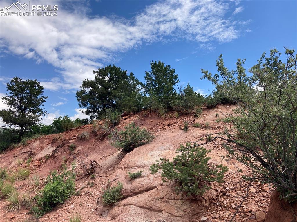 Image 11 of 12: View of local wilderness