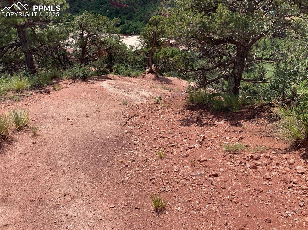 Image 2 of 12: View of local wilderness