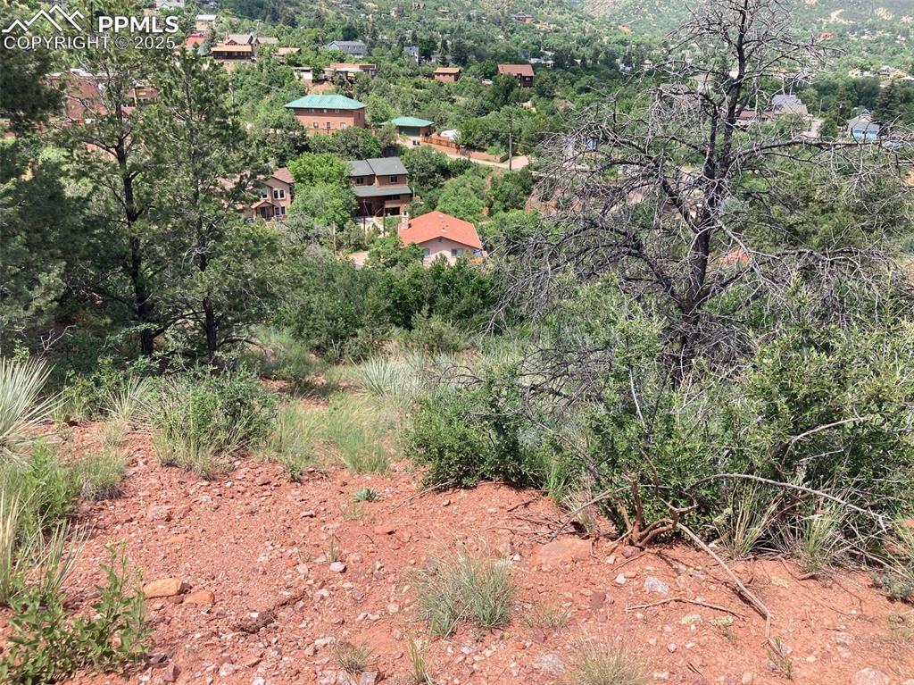 Image 3 of 12: View of local wilderness