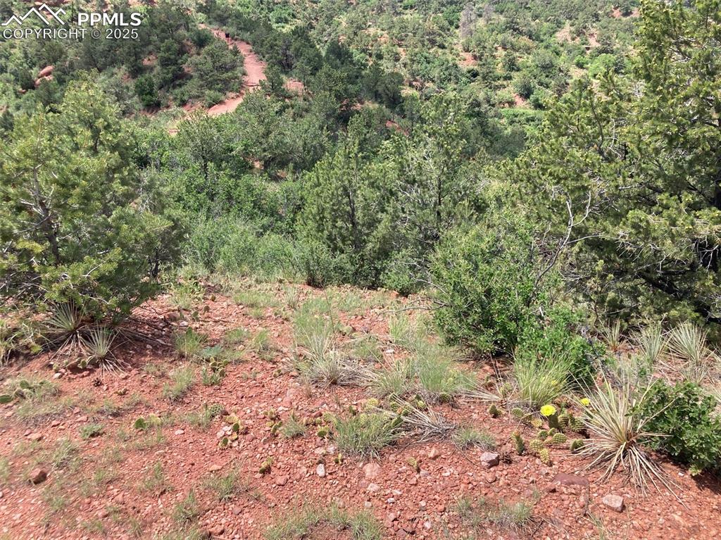 Image 5 of 12: View of undeveloped land