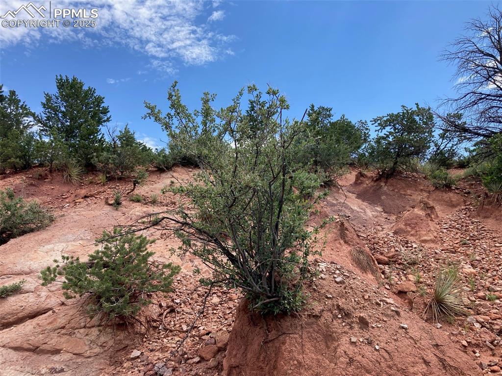 Image 8 of 12: View of undeveloped land