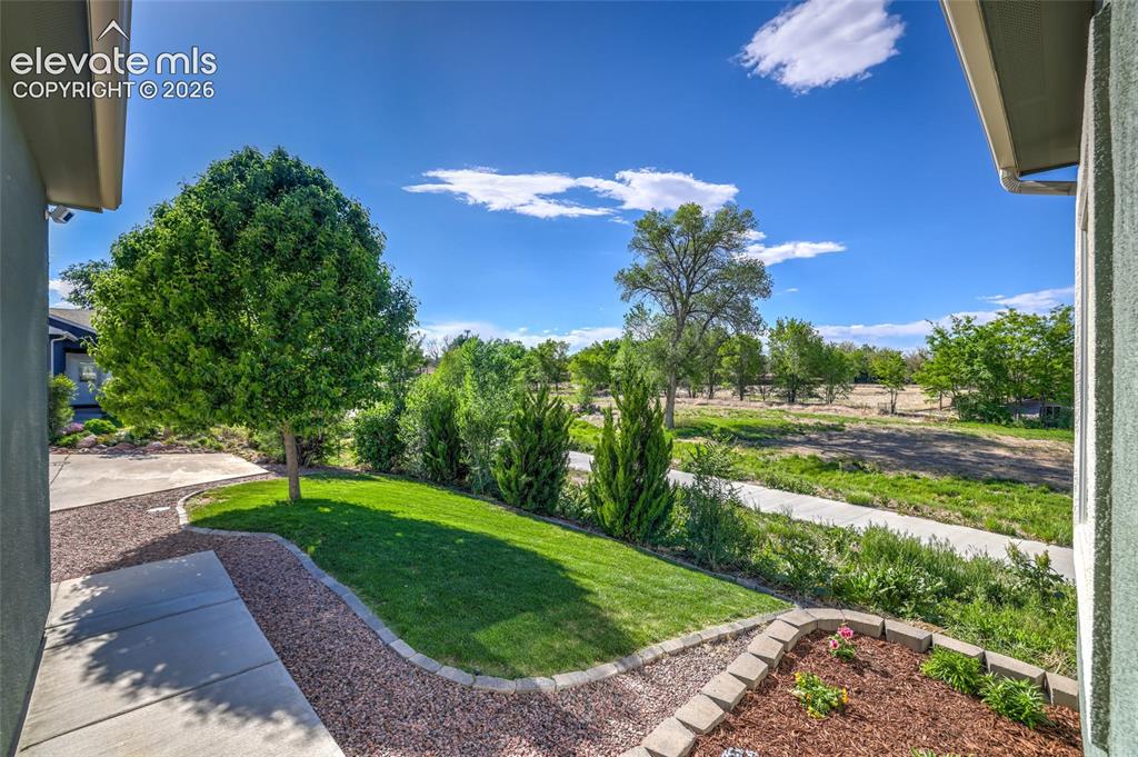 Image 11 of 50: Yard