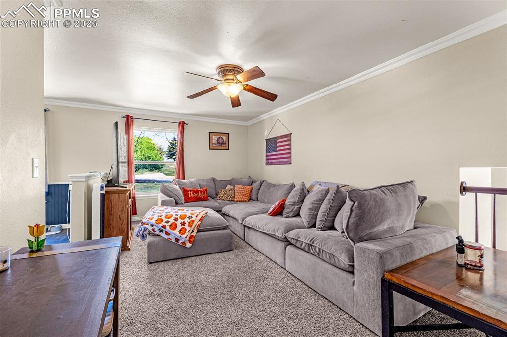 Image 4 of 38: Living Room