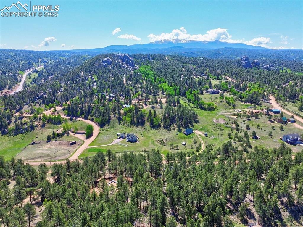 Image 47 of 49: View of property location with a forest and mountains