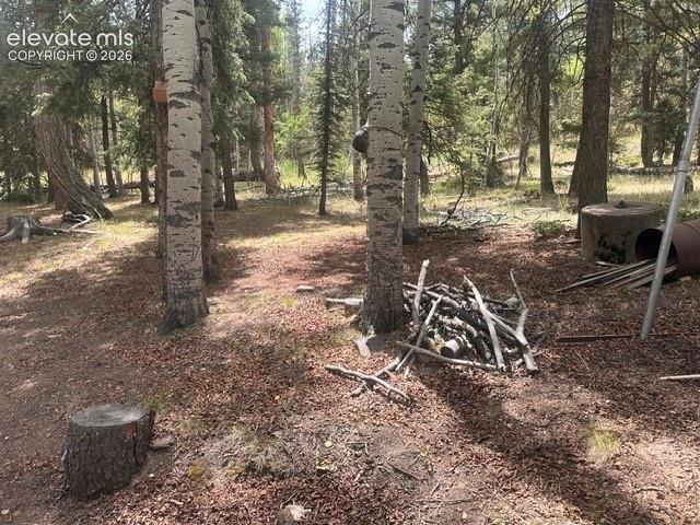 Image 21 of 21: Other
