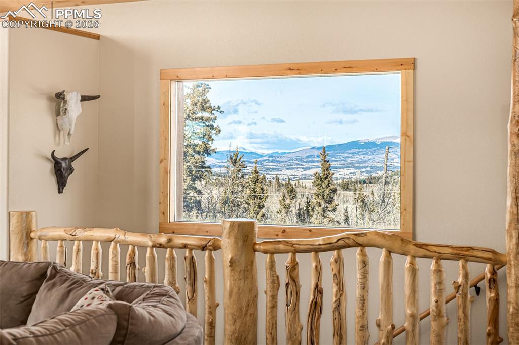 Image 15 of 50: Other