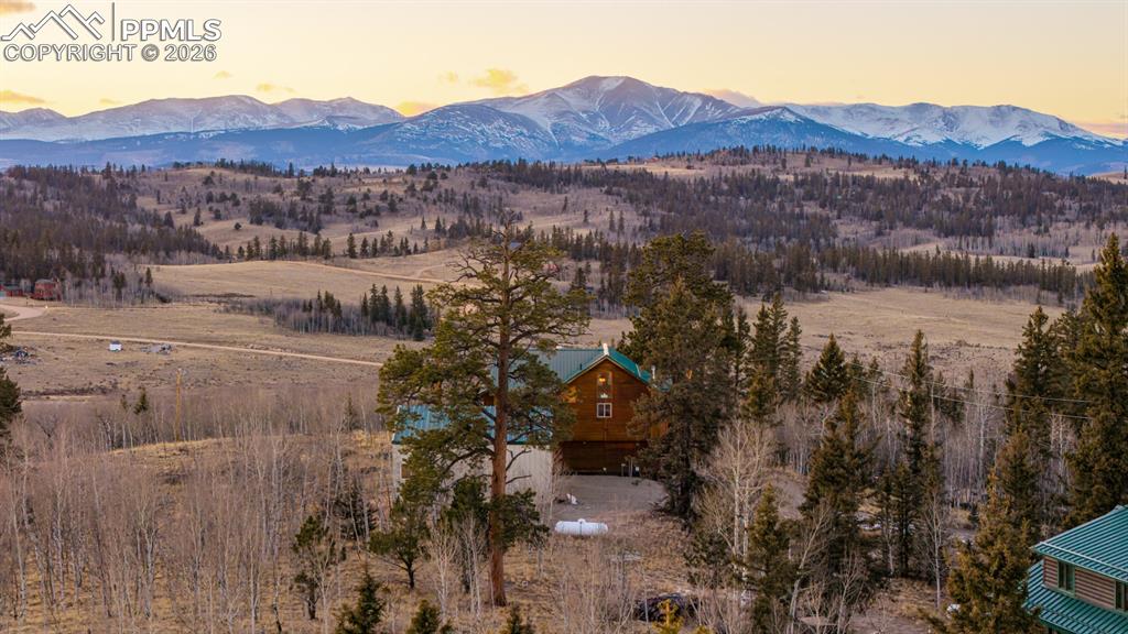 Image 46 of 50: View