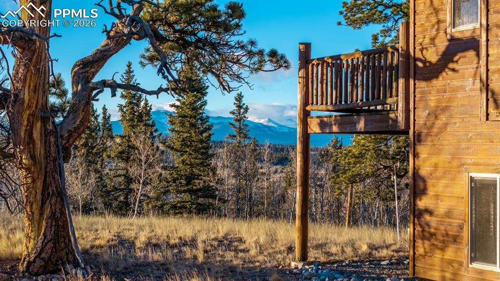 Image 48 of 50: View