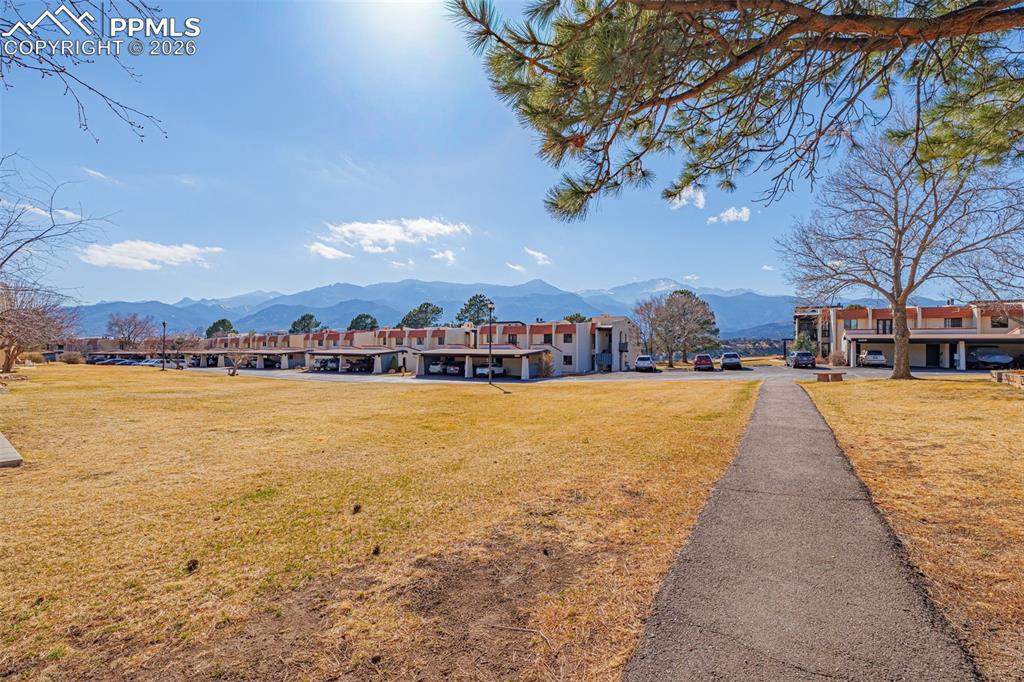 Image 28 of 29: Other