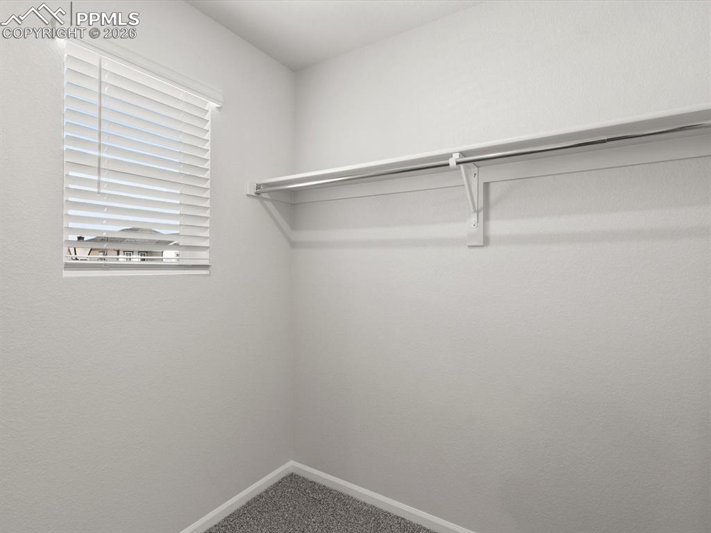 Image 18 of 30: Walk in closet with carpet floors