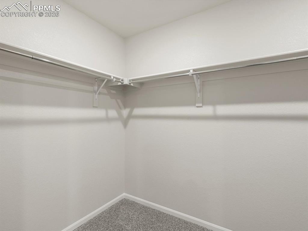 Image 28 of 30: Walk in closet with carpet flooring