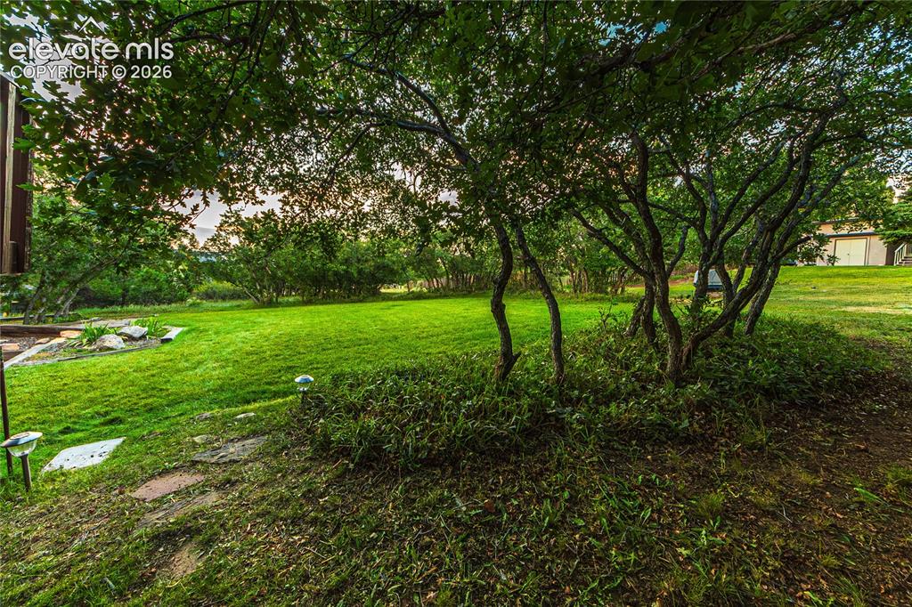 Image 39 of 43: View of yard