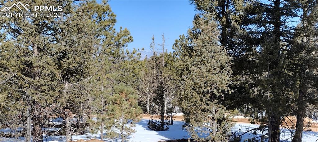 Listing 6728541, Image 13 of 19