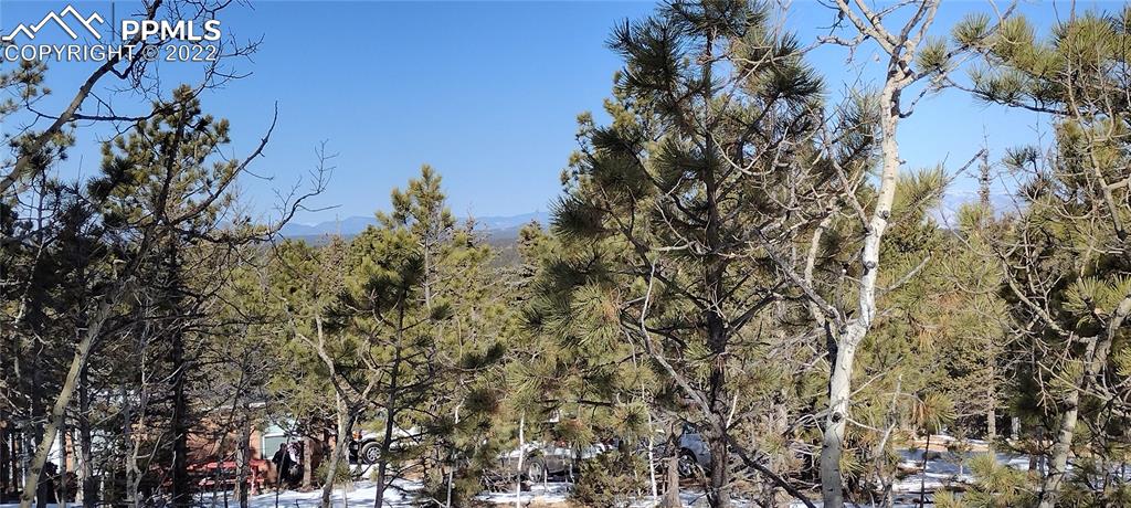 Listing 6728541, Image 14 of 19