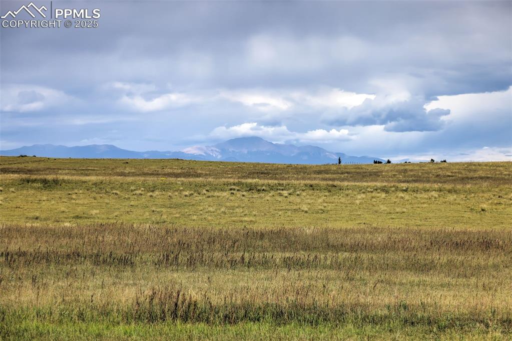 Image 16 of 17: View