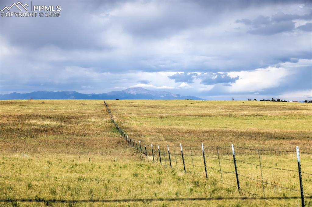Image 17 of 17: Yard