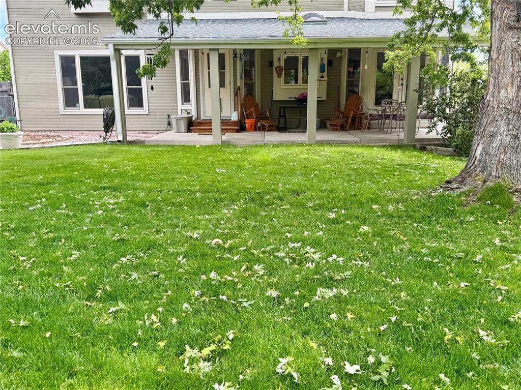 Image 11 of 49: Expansive green lawn with a mature tree