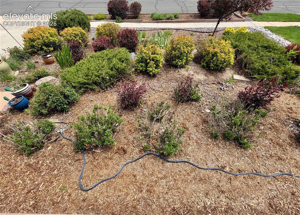 Image 14 of 49: Portion of the front yard.