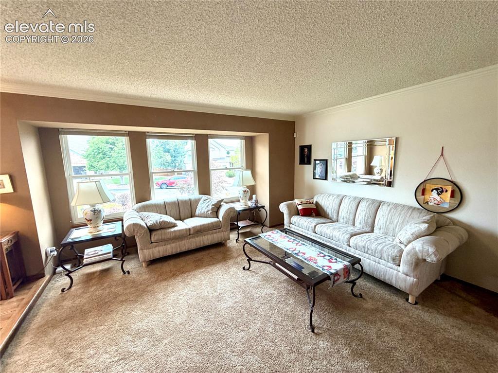 Image 16 of 49: Spacious Front-Living Room area. 