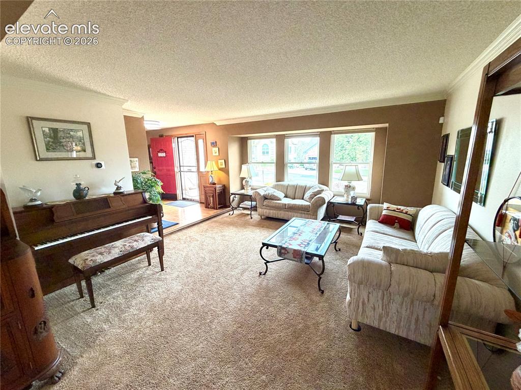 Image 17 of 49: Spacious living area featuring windows, plush carpet flooring, crown moldin