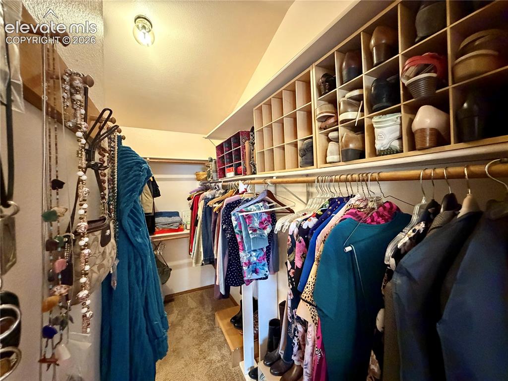 Image 31 of 49: Expansive Primary Suite closet featuring carpeted flooring, built-in shelvi