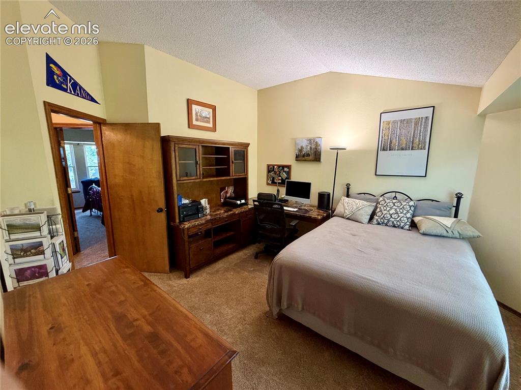 Image 41 of 49: Spacious room featuring vaulted ceilings, carpet, and a walk in closet.