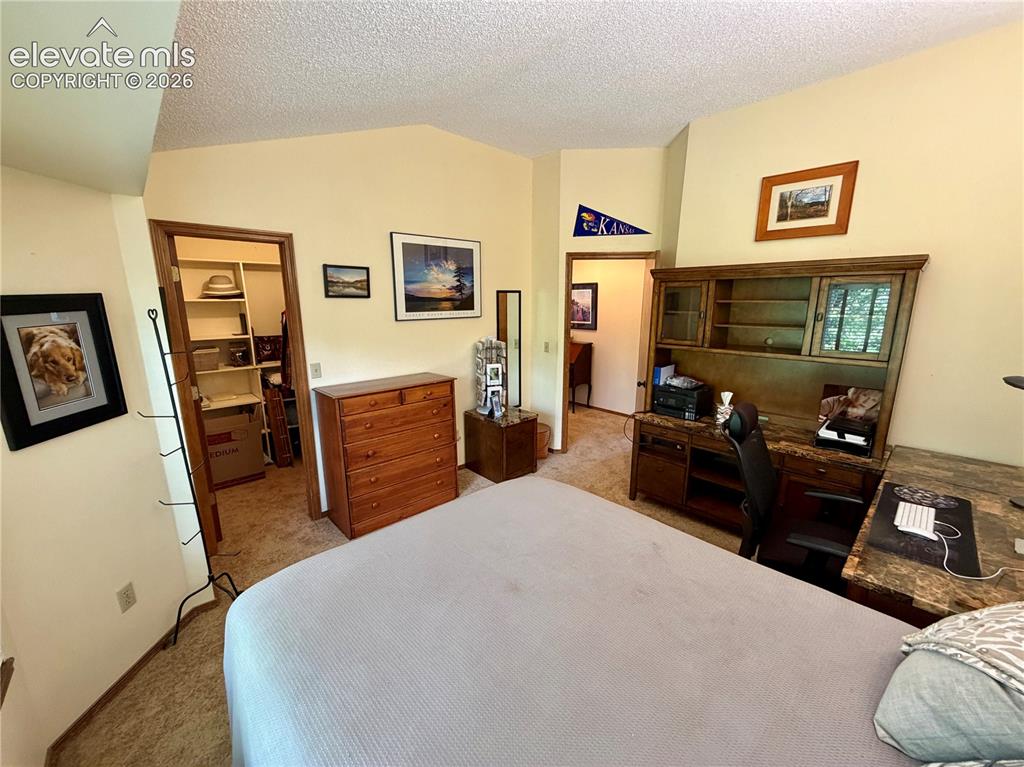 Image 42 of 49: Carpeted room with vaulted ceiling and a walk-in closet featuring shelving