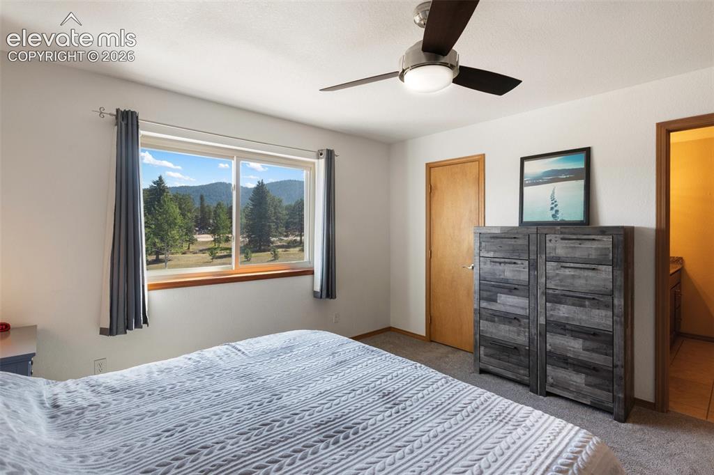 Image 14 of 36: Primary Bedroom with walk in closet and bathroom. 