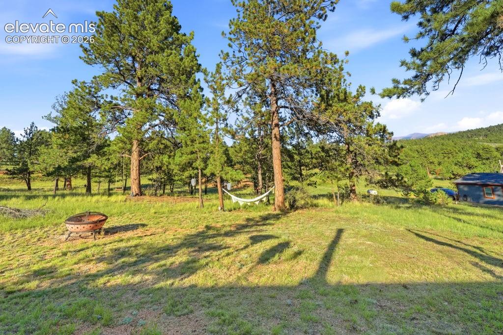 Image 13 of 50: Expansive outdoor space featuring a fire pit, mature evergreen trees, and a