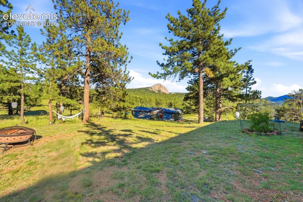 Image 14 of 50: Expansive grassy area with mature trees and a distant mountainous backdrop