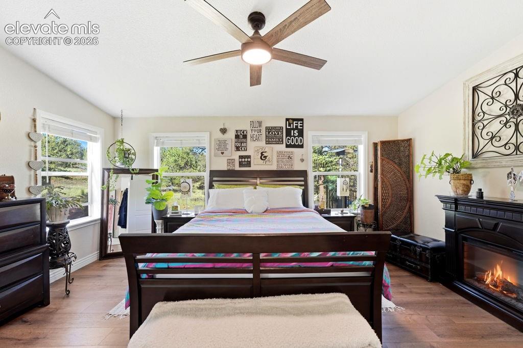 Image 33 of 50: Recessed lighting, wood-finish flooring, and multiple windows