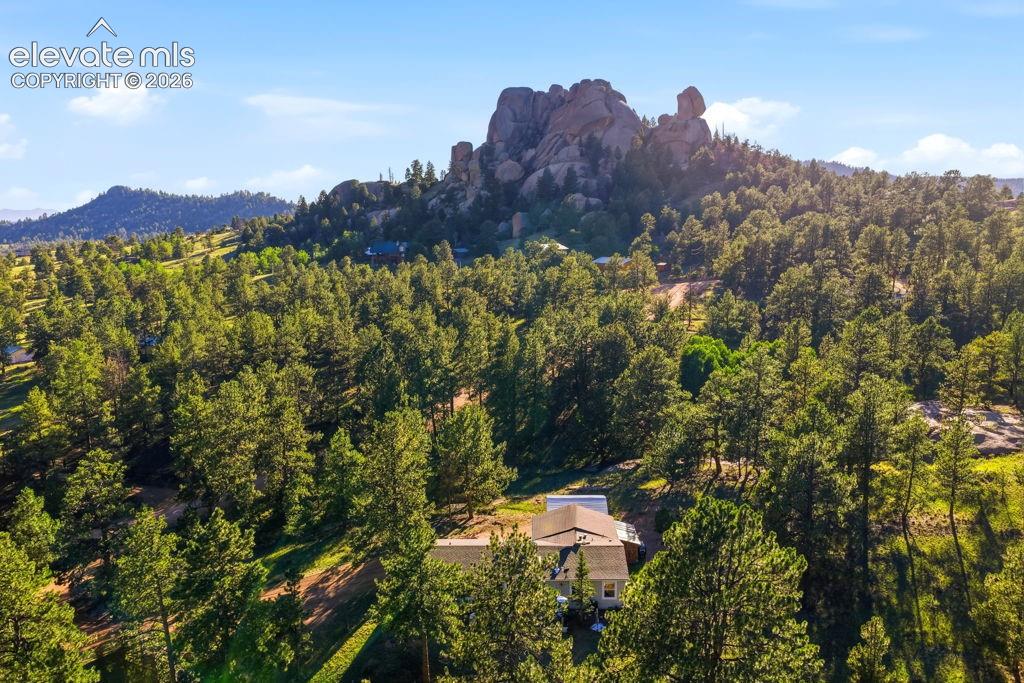 Image 49 of 50: Wooded property featuring a natural rock formation backdrop