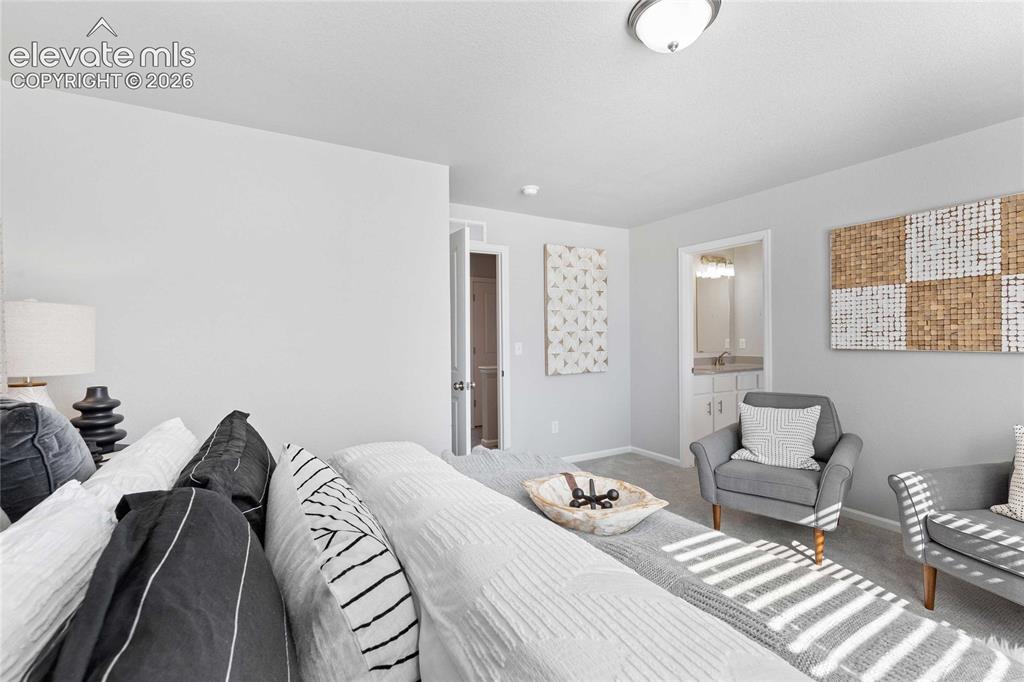 Image 15 of 25: Carpeted room with light neutral wall paint and a flush-mount ceiling light