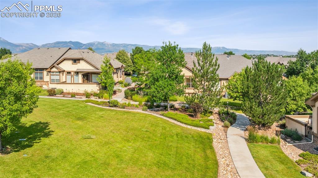 Image 32 of 32: Community