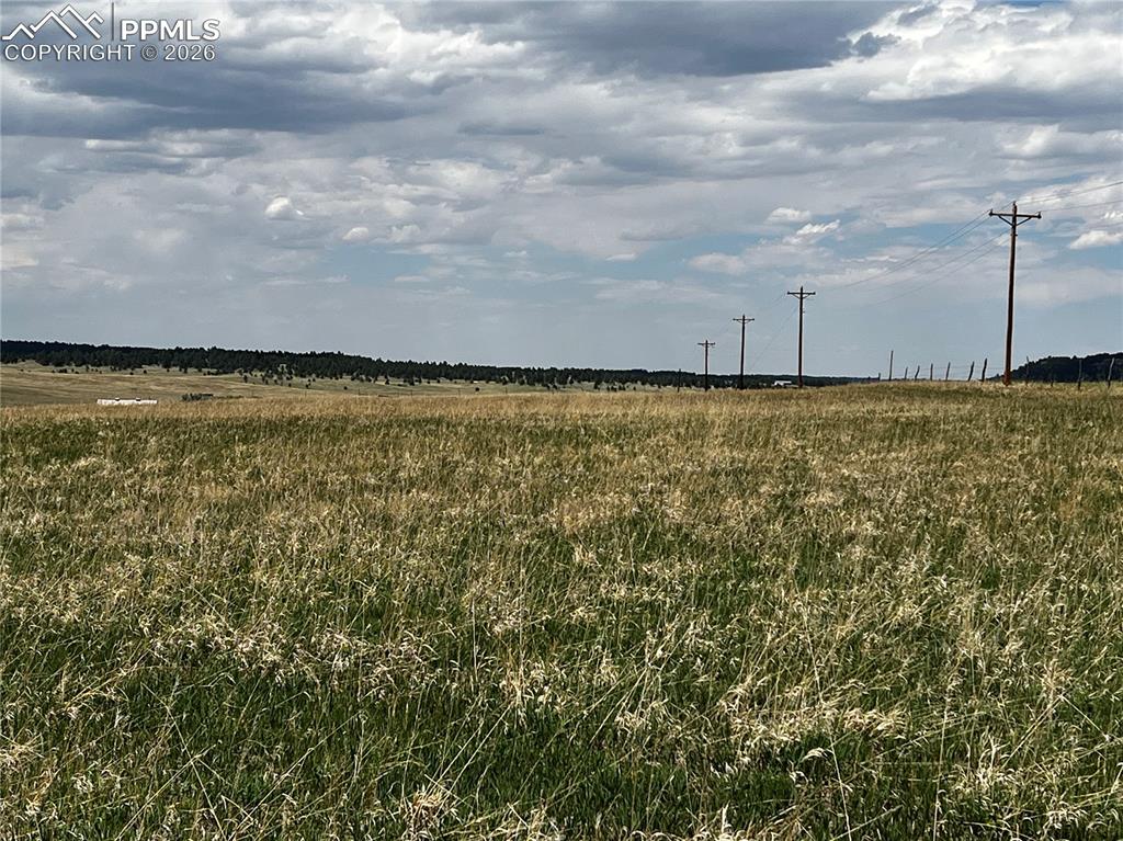 Image 10 of 16: No Description Available