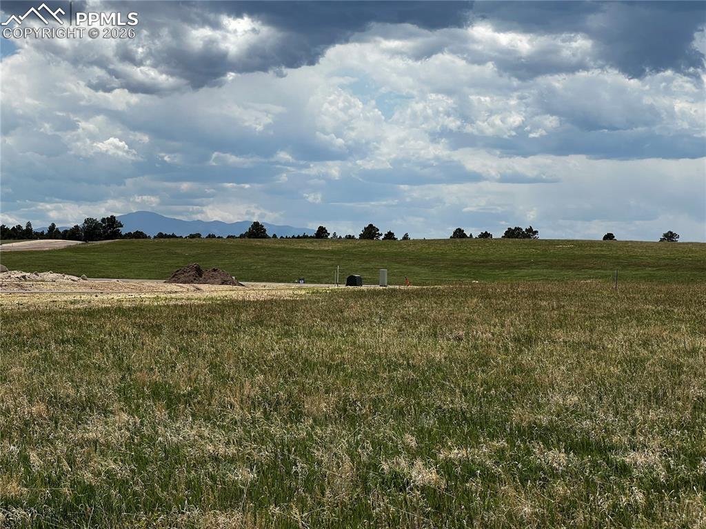 Image 11 of 16: No Description Available