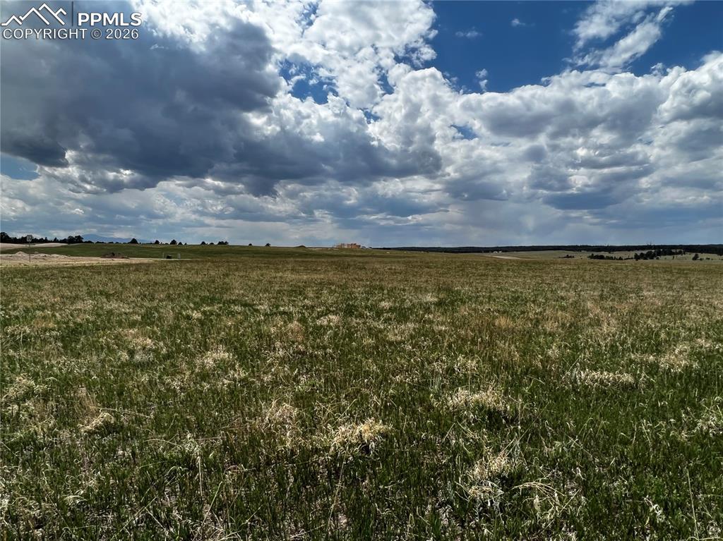 Image 12 of 16: No Description Available