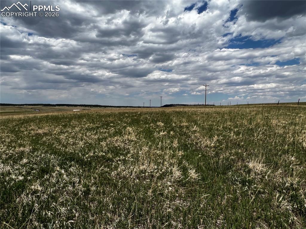 Image 13 of 16: No Description Available