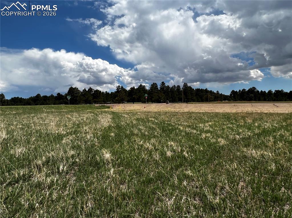 Image 5 of 16: No Description Available