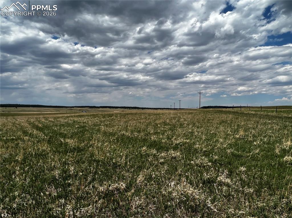 Image 6 of 16: No Description Available