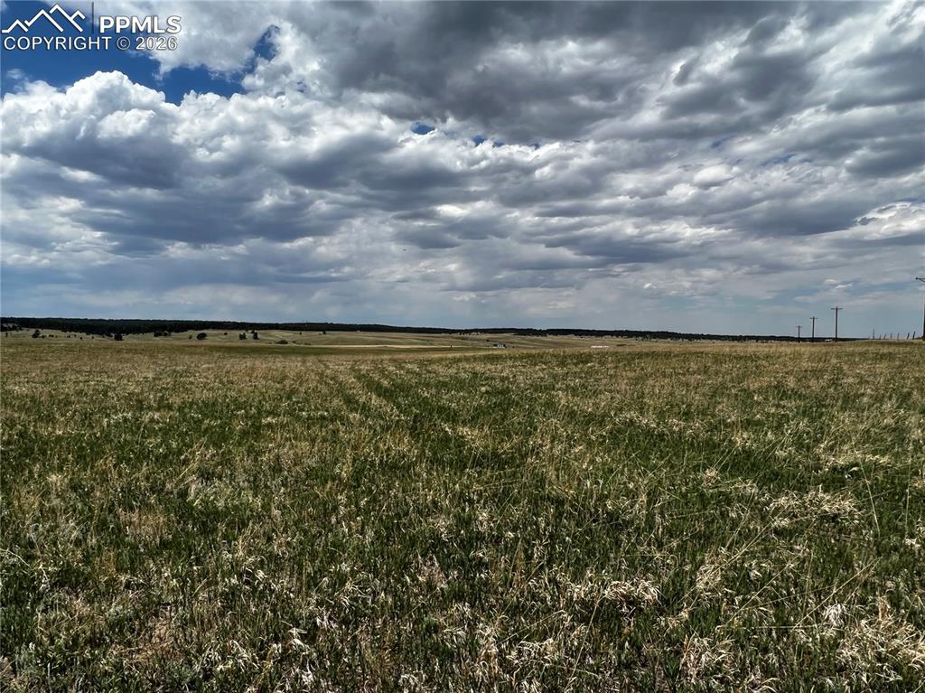 Image 7 of 16: No Description Available