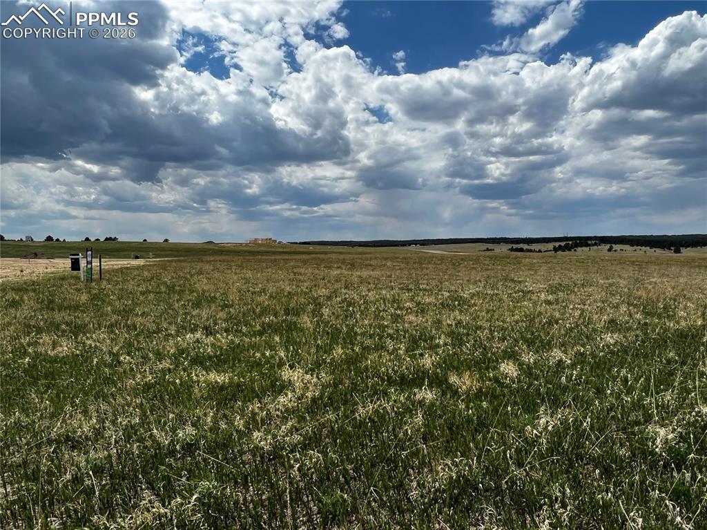 Image 8 of 16: No Description Available