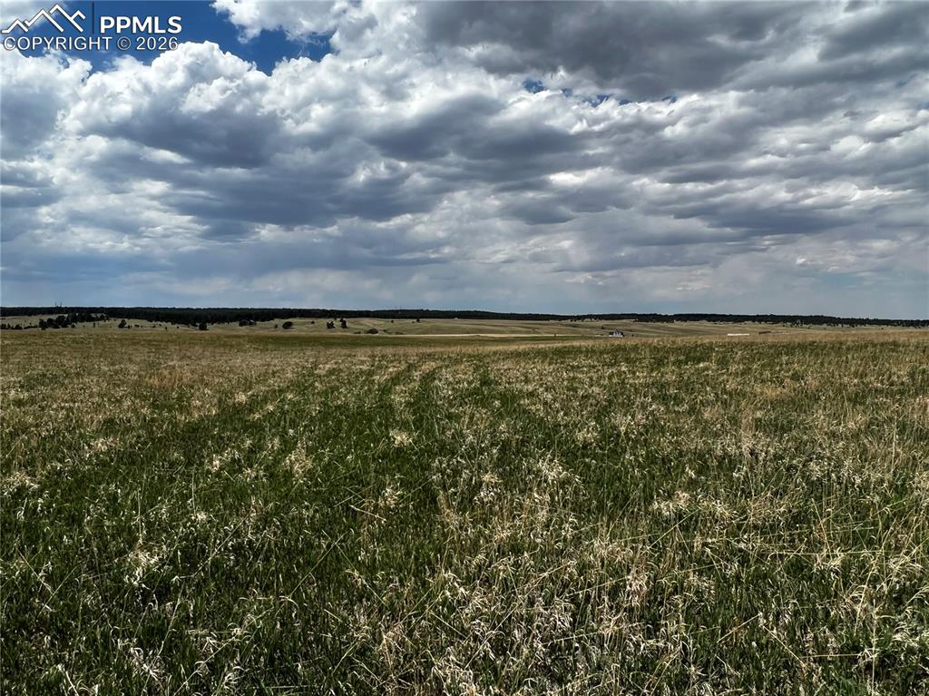 Image 9 of 16: No Description Available